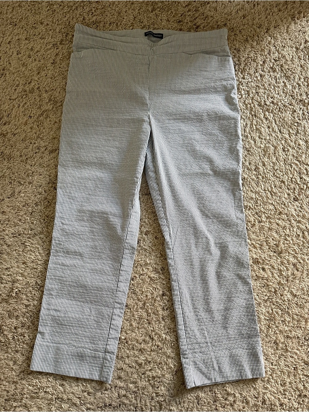 Hilary Radley Striped Blue & White Seersucker Stretch Capri Pants Women’s Size L